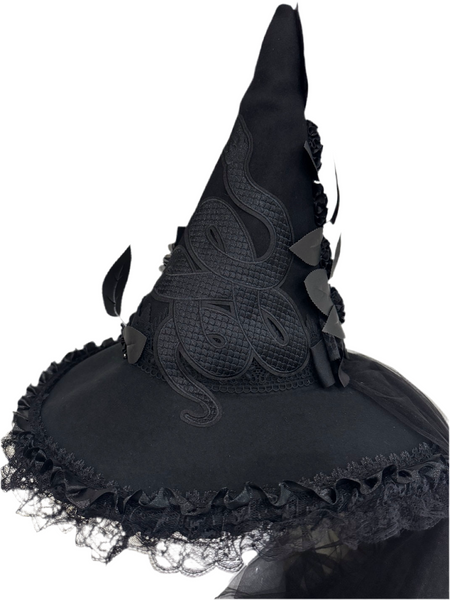 Witch Hat Snake