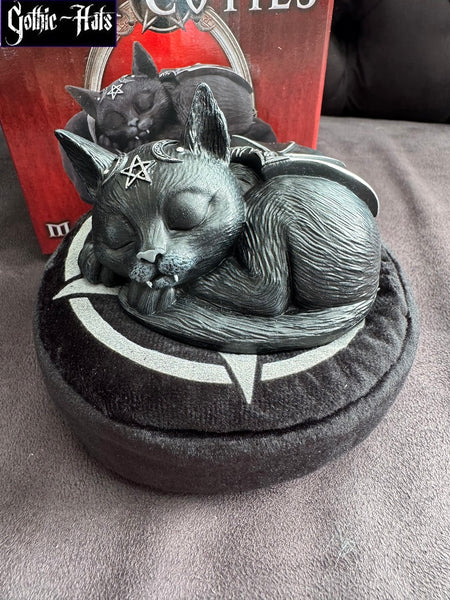 Cult Cuties Malpuss Dreams