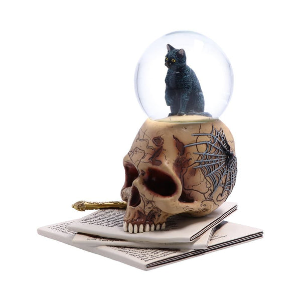 Lisa Parker Spirits of Salem Snow Globe